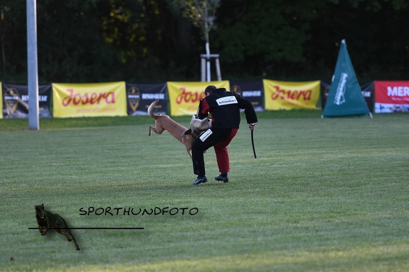 Impressionen 302.jpg